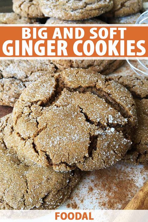 Ginger Cookies Recipe, Soft Ginger Cookies, Chewy Ginger Cookies, Ginger Cookie Recipes, Quick Cookies, Coconut Biscuits, Coconut Cookies, Ginger Cookies, Cookie Bar Recipes