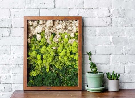 29 Best Moss Wall Art Ideas and Designs for Your Living Space in 2021 Scandinavian Moss, Wall Terrarium, Living Wall Art, Ombre Wall, Reindeer Moss, Moss Wall Art, Wall Art Ideas, Moss Terrarium, Moss Art