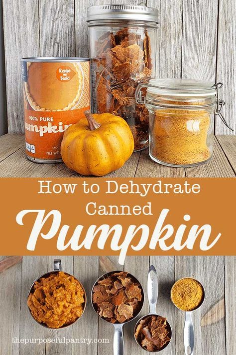 Dehydrate Pumpkin, Things To Dehydrate, Dehydration Recipes, Dehydrator Ideas, Pumpkin Flour, Preserving Pumpkins, Fruit Powders, Pumpkin Powder, Dehydrating Food Storage