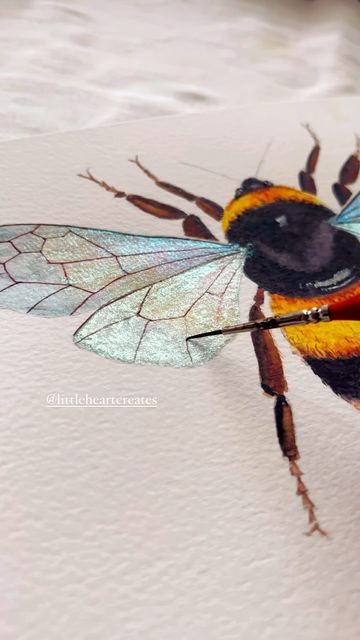 Dragonfly Drawing, Metallic Watercolor, Bumble Bee Art, Bee Drawing, Cats Art Drawing, Bee Painting, Art Tutorials Watercolor, Insect Art, Bee Art