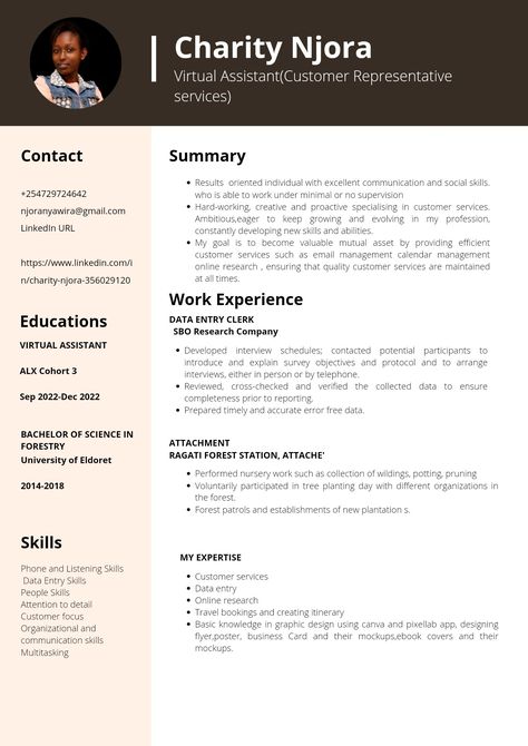 Data Entry Resume, Virtual Assistant Resume, Data Entry Clerk, Calendar Management, Ayurvedic Doctor, Cv Examples, Job Advice, Job Interview Tips, Personal Assistant