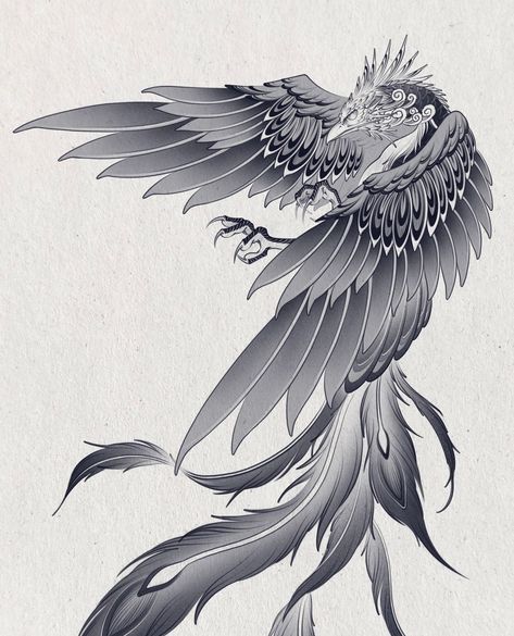 Marco The Phoenix Tattoo, Minimal Phoenix Tattoo, Neo Traditional Phoenix Tattoo, Clear Tattoos, Herron Tattoo, Alexander Grim, Accordian Book, Line Tattoo Ideas, Basic Tattoos