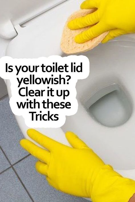 Over time the toilet lid becomes yellowish, and that aspect is not the most favorable, much less if we are going to receive a special visit, so we can use different stain remover products and observe that the color wears off and loses its original appearance. Here are some tricks that will help you whiten your toilet seat with products that are common and easy to find in the supermarket. Cleaning Bathrooms, Toilet Stains, Peroxide Uses, Hydrogen Peroxide Uses, Household Chores, Toilet Cleaning, Bathroom Cleaning, Cleaning Routine, Toilet Seat