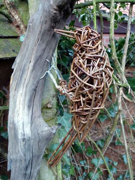 Willow Sculpture Gallery | Caroline Gregson Willow Sculpture, Willow Garden, Living Willow, Twig Art, Wicker Bedroom, Willow Weaving, Driftwood Sculpture, Wicker Decor, Bird Sculpture