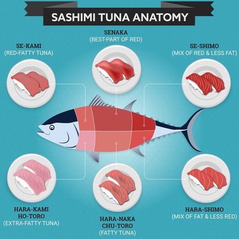 🐟 Know your Tuna Sashimi so you don’t get fooled (with the wrong cut) when ordering it at restaurants. I want to share what I recently learnt about Tuna from @_chef_junior_gomes the head chef at @miraiadliya 🥢 - - I used to always get salmon sashimi until I learnt that there are tons of tuna sashimi that you can order & if served right, it could beat the average salmon by a mile!!! My favourite is the senaka, hotoro & chutoro from the prestigious Blue Fin Tuna. It’s pricier than the rest & for Sashimi Tuna, Tuna Sashimi, Japanese Food Sushi, Sashimi Sushi, Eating Good, Bluefin Tuna, Tuna Fish, Japanese Dessert, Sushi Recipes