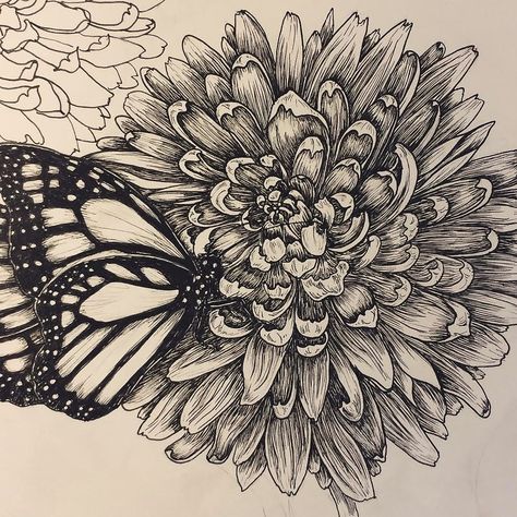 Chrysanthemum and butterfly tattoo Chrysanthemum Drawing Tattoo, Chrysanthemum Drawing, Chrysanthemum Flower Tattoo, Cosmos Tattoo, Flower Shoulder Tattoo, Plant Sketches, Floral Tattoo Shoulder, Chrysanthemum Tattoo