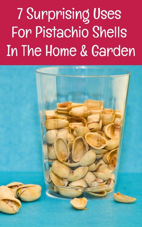 Wow - who knew you could do so much with pistachio shells! Pistachio Nut Shell Crafts, How To Use Pistachio Shells, Pistachio Shell Art Ideas, Crafts Using Pistachio Shells, Pistachio Shell Crafts Decor, Pistachio Art Ideas, Craft With Pistachio Shells, Crafts With Pistachio Shells, Pistachio Shell Art