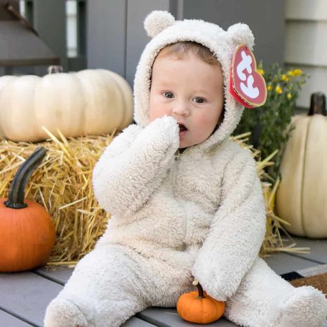 Newborn Bear Costume, Baby Beanie Baby Costume, Diy Beanie Baby Costume, Beanie Babies Costume, Newborn Diy Halloween Costumes, Diy Baby Costume Girl, Diy Baby Boy Halloween Costumes, Homemade Baby Halloween Costumes, Baby Diy Halloween Costumes