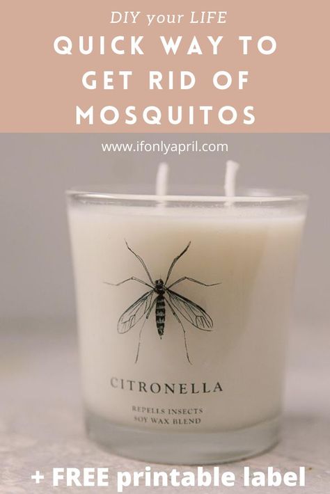 How not to get eaten by mosquitos Diy Citronella, Old Candle Jars, Diy Montessori Toys, Citronella Candle, Hot Summer Nights, Old Candles, Outdoor Entertainment, Citronella Candles, Diy Candle