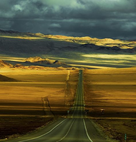 Pan American Highway, Chile by Philippe Reichert Pan American Highway, Panorama Alam, Spot Foto, Empty Road, Beautiful Roads, In The Middle Of Nowhere, Pan American, Middle Of Nowhere, Wallpaper Animes