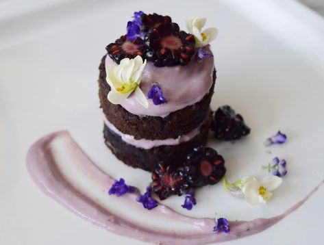 ADAPTOGENIC BLACK TAHINI CAKE WITH BUTTERFLY PEA FLOWER FROSTING – Sun Potion Cake With Butterfly, Flower Frosting, Tahini Cake, Black Tahini, Sun Potion, Artificial Food, Speak To Me, Cupcake Tray, Natural Food Coloring