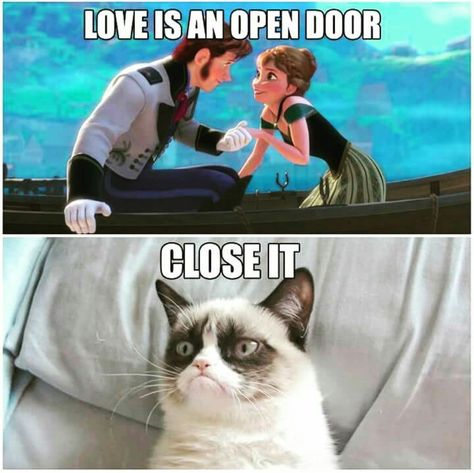 Love is an open door....close it! •grumpy cat Love Is An Open Door, Memes Love, Introvert Humor, Open Door, So Funny, Disney Memes, Grumpy Cat, Random Acts Of Kindness, Faith In Humanity