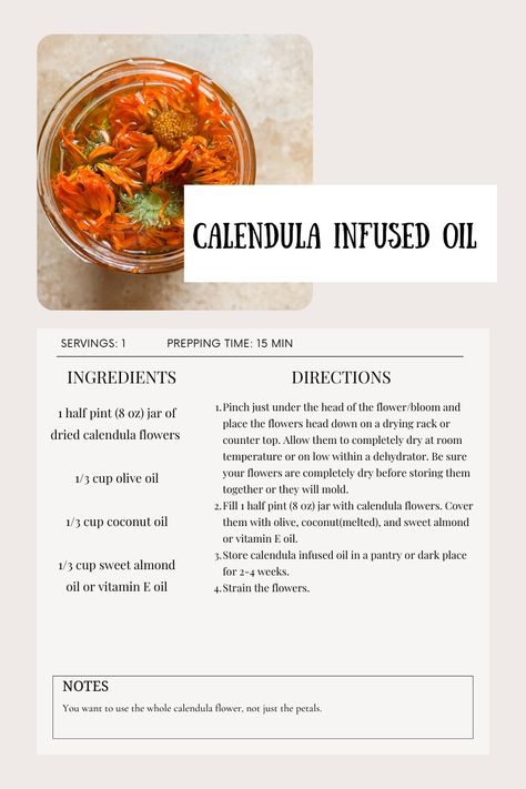 How To Make Calendula Salve Calendula Uses Witchcraft, How To Make Calendula Oil, Calendula Salve Benefits, Calendula Spell Uses, Calendula Oil Recipes, How To Make Calendula Salve, Calendula Salve Recipe, Calendula Flower Benefits, Calendula Properties