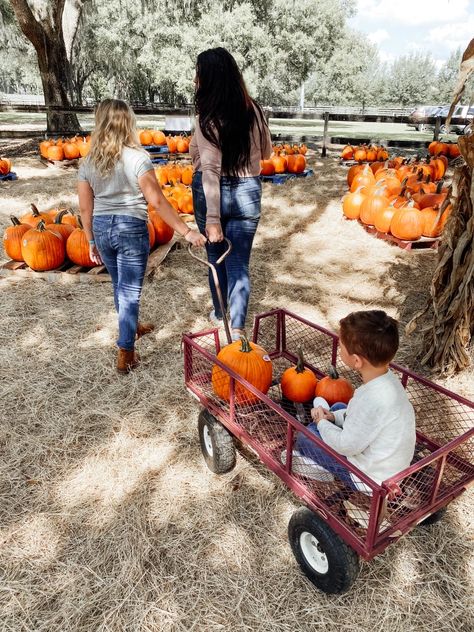 Pumpkin Patch Time – A Guide to Visiting a Pumpkin Patch with Kids – Kimmy Manzo Pumpkin Patch Kids, Fall Festivals, Florida Fashion, Pumpkin Picking, Patch Kids, Like Crazy, Travel Information, Fall Festival, 90 Degrees