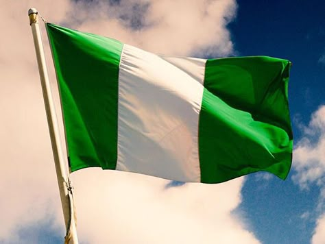 Nigerian Culture Aesthetic, Flag Of Nigeria, Nigerian Independence Day, Happy Independence Day Nigeria, Nigerian Independence, Map Of Nigeria, Dream Friend Group, Nigerian Flag, Nigeria Flag