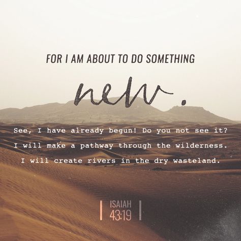 For I am about to do something new. See, I have already begun! Isaiah 43 19, Isaiah 43, Gods Promises, The Wilderness, Scripture Quotes, Verse Quotes, Bible Verses Quotes, Bible Scriptures, Bible App