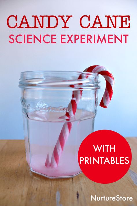 candy cane science experiment christmas theme science lesson Candy Cane Science Experiment, Excel Ideas, Candy Cane Experiment, Candy Cane Science, Candy Experiments, Christmas Science Experiments, Stem Engineering, Science Experiments For Kids, Experiments Kids