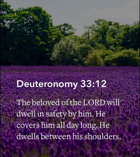 Deuteronomy 33 12, Study Scripture, Love The Lord, Spiritual Guidance, Personal Goals, Abba, Bible Study, Spirituality, Bible