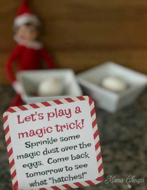 Elf Tricks, Egg Magic, Egg Printable, Magic Tricks Revealed, Elf Notes, Funny Eggs, Elf Kit, Elf Magic, Awesome Elf On The Shelf Ideas