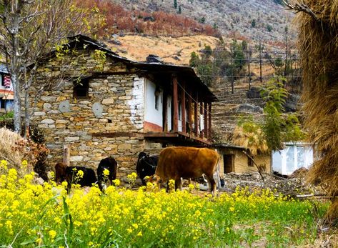 Munsiyari Uttarakhand, Garhwali Culture, Cloudy Landscape, Char Dham Yatra, Indian Houses, Snow Covered Mountains, Travel Points, Urban Sketches, Rural India