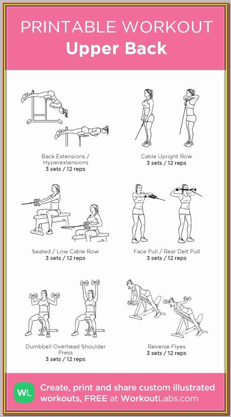 (ad) Dumbbell Back Workout For A unassailable Core  Back Workouts Seated Dumbbell Workout, Back Exercises Dumbbell, Back Workout Dumbell, Dumbell Back Workout, Back Workouts With Dumbbells, Core And Back Workout, Back Dumbbell Workout, Dumbbell Core Workout, Back Workout With Dumbbells