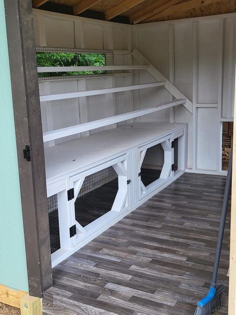 Great Chicken Coop Ideas, Chicken Coop With Tack Room, Coop Set Up, Chicken Coop Organization, Chicken Supply Storage, Chicken Coop Set Up Inside, Fancy Chicken Coop Interiors, Container Chicken Coop, Big Chicken Coop Ideas