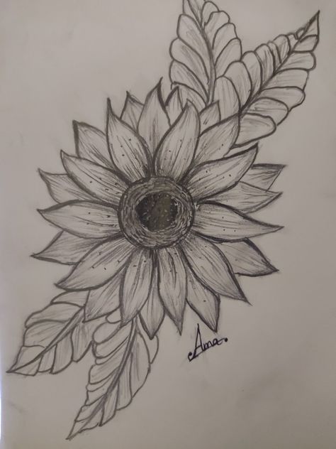 Sunflower Sketch Pencil, Cute Sunflower Drawing, Sunflower Drawing Pencil, Sketched Sunflower, Sunflower Pencil Drawing, Easy Sunflower Drawing, Sunflower Drawing Simple, Sunflower Drawings, Nature Sketches Pencil