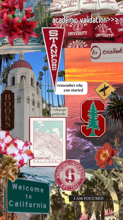 #stanford #ivyleague #academicvalidation #university #stanforduniversity #college #california Stanford Medical School, Stanford College, Stanford California, University Inspiration, Oxford College, College Vision Board, Law School Inspiration, College Motivation, College List