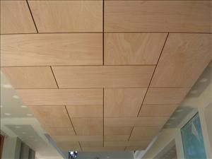 Plywood (5) Basement Ceiling Ideas Cheap, Ceiling Tiles Basement, Plywood Ceiling, Basement Ceiling Options, Low Ceiling Basement, Ceiling Options, Plywood Interior, Modern Basement, Plywood Walls