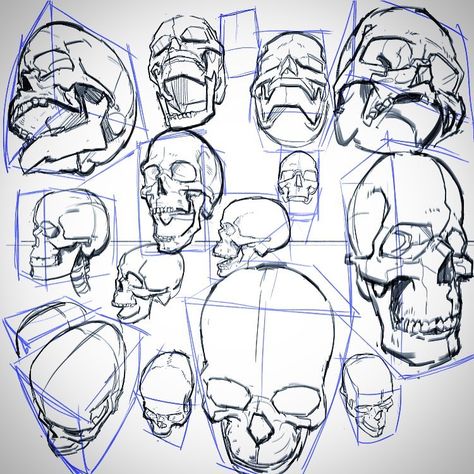 140 mentions J’aime, 3 commentaires - Tom Fox (@tomfoxdraws) sur Instagram : "Skulls in perspective. #drawing #lineart #skulls #sketch #perspective #draw" Skull Angles, 3d Monster, Skull Anatomy, Skull Sketch, Skeleton Drawings, Perspective Drawing Lessons, 얼굴 드로잉, Monster Drawing, Human Anatomy Drawing