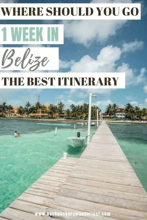 1 Week In Belize Itinerary: The Perfect 7 Days In Belize 30 Belize Travel Itinerary, Belize Itinerary, Swimming With Manatees, Belize Barrier Reef, Belize Food, Belize Resorts, Belize City, Belize Travel, Couples Travel