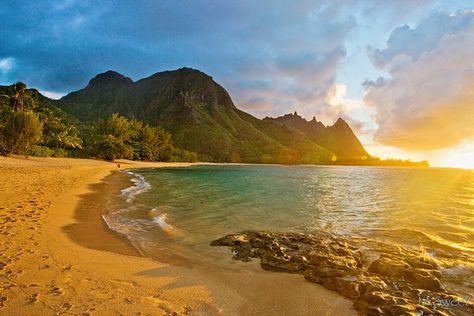 Kauai Secret beach    Tunnels Beach on the remote north shore of Kauai, hawaii, USA. Tunnels Beach, Beach In Hawaii, Kauai Travel, Kauai Vacation, Monk Seal, Napali Coast, Beach Honeymoon Destinations, Hawaii Honeymoon, Hawaiian Vacation