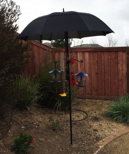 Great rain and wind protection for your bird feeder station - FeederWatch Diy Hummingbird Feeder, Bird Feeder Station, Backyard Birds Watching, Backyard Birds Sanctuary, Backyard Birds Feeders, Bird Feeder Craft, Bird Seed Feeders, Bird Feeding Station, Homemade Bird Feeders