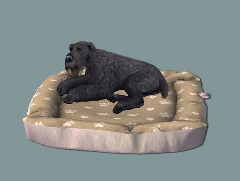 Sims 2 Pets Cc, Dog Bed Sims 4 Cc, Sims 2 Pets, Sims Pets, Cat Cushion, The Sims 2, Yellow Decor, Sims Mods, 30 Years Old