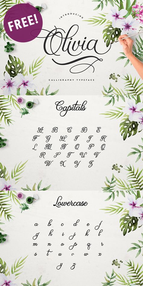 One of my favorite Free Fonts!!  Olivia Script - get it before its gone! Best Free Script Fonts, Free Cursive Fonts, Free Monogram Fonts, Awesome Fonts, Fonts Handwriting Alphabet, Wedding Invitation Fonts, Free Calligraphy, Free Calligraphy Fonts, Fonts Ideas