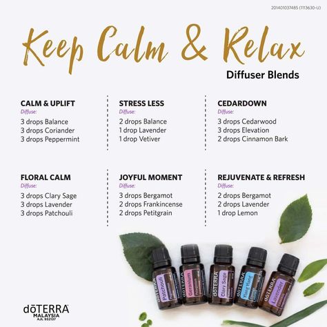 Relax Essential Oil Diffuser, Doterra Relaxing Diffuser Blends, Frankincense Essential Oil Uses, Relaxing Essential Oil Blends, Essential Oil Mixtures, 1 Day Left, Calm Space, Doterra Diffuser, Doterra Diffuser Blends