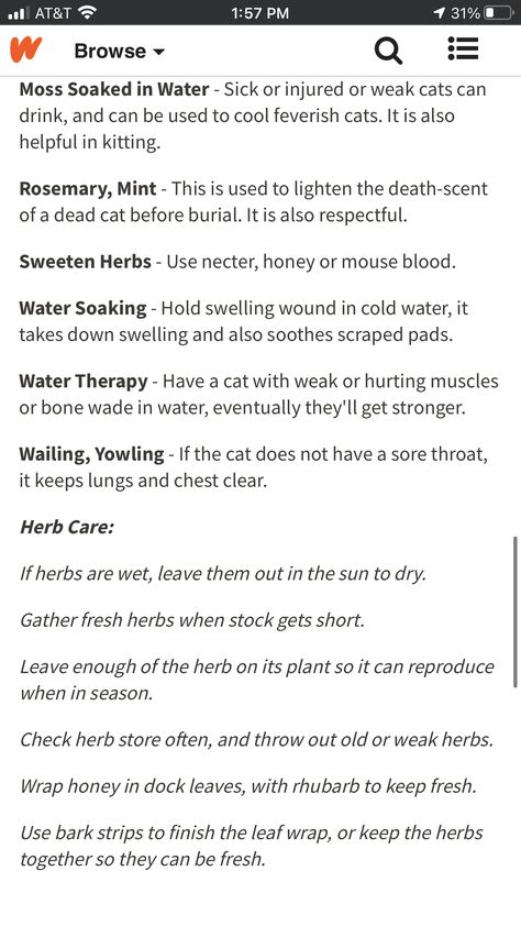 Warrior Cats Herbs, Warrior Cats Quotes, Warrior Cats Clans, Warriors Erin Hunter, Cat Medicine, Warrior Cat Memes, Cat Info, Survival Skills Life Hacks, Warrior Cat Drawings