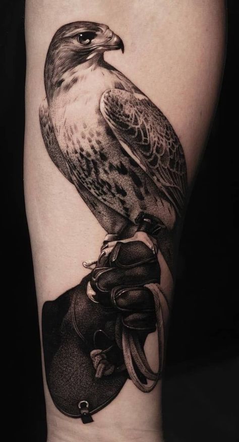 Honey Badger Tattoo, Badger Tattoo, Bird Design Tattoo, Falcon Tattoo, Bird Tattoo Men, Big Cat Tattoo, Wildlife Tattoo, Hawk Tattoo, Symbol Of Freedom