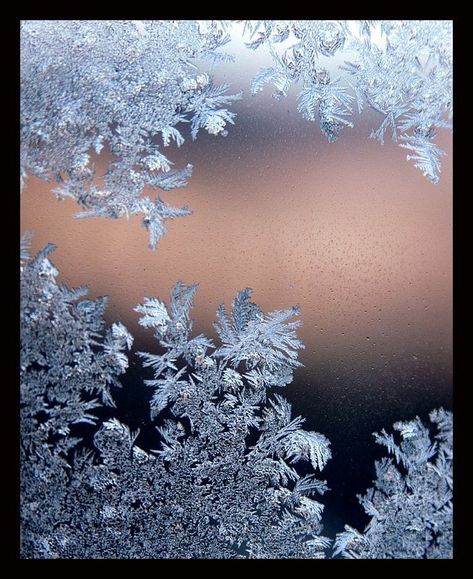 Frost On Window, Frozen Window, Frost Pattern, Frosted Window, Ice Art, Snow Crystal, Winter Frost, I Love Winter, Ice Crystals