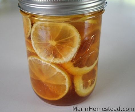 Ginger Lemon Honey Tea, Canker Sore Remedy, Honey Remedies, Honey And Lemon Drink, Honey Lemon Water, Ginger Detox, Tea For Colds, Honey Drink, Ginger Drink