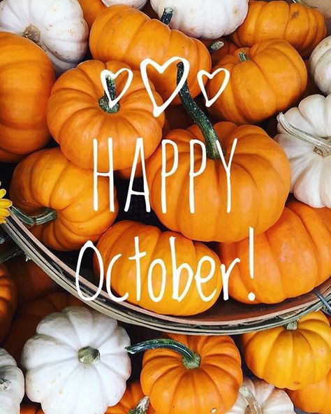 October Eve, Bellame Beauty, Hello October Images, October Goals, October Images, Happy October 1st, Month Quotes, Holiday Pics, Fall October