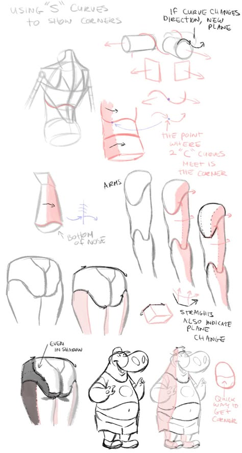 s curves to show corners by radsechrist.deviantart.com on @DeviantArt Character Anatomy, Male Figure Drawing, Anatomy Tutorial, Drawing Anatomy, Human Figure Drawing, Human Anatomy Art, Anatomy For Artists, Basic Drawing, Anatomy References