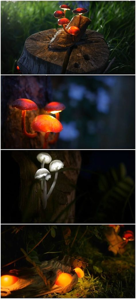 More Mushrooms DIY Garden Lighting Design Ideas | DIY Garden Lighting | How To Make Amazing Glowing Mushrooms Glowing Mushrooms Diy, Diy Garden Lights, Glow Jar, Mushrooms Diy, Diy Mushrooms, Mushroom Ideas, Mushroom Diy, Garden House Ideas, Garden Lighting Diy