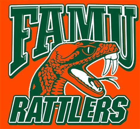 Florida A&M Rattlers Florida A&m University Rattlers, Florida A&m University, Famu College Aesthetic, Famu Rattlers, Florida State University Football, Trunk Party, Aggie Pride, College Vision Board, Georgia Dawgs