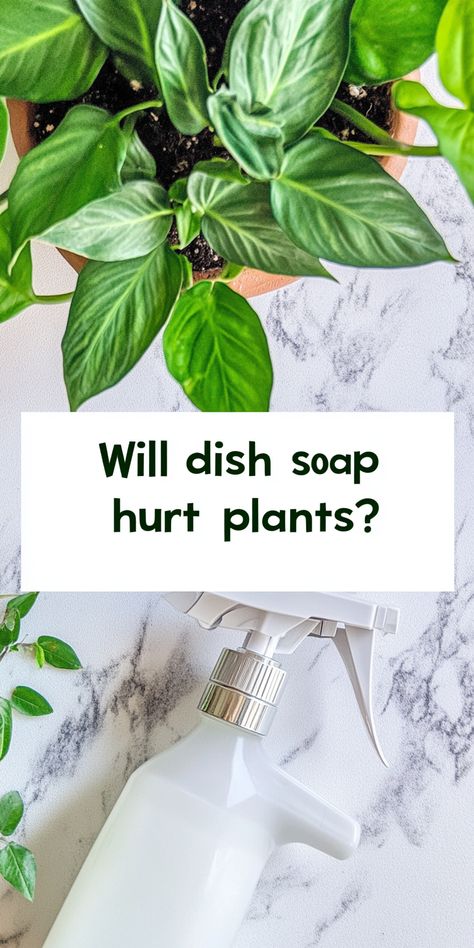 will dish soap hurt plants Homemade Insecticidal Soap, Homemade Insecticide, Insecticidal Soap, Dish Detergent, Soap Labels, Insect Control, Homemade Remedies, Plant Needs, Soapy Water