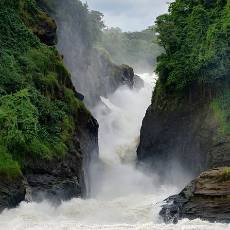 Did you know Murchison Falls is also called Kabalega Falls? This natural wonder is a sight to behold! Book a safari today: https://www.murchisonfallsnationalparkuganda.com/ #Murchisonfalls #murchisonfallsuganda #murchisonfallsinuganda #murchisonnationalpark #murchisonfallspark #murchisonPark #murchisonfallsnationalpark Murchison Falls, Gorilla Trekking, Enjoy The Journey, Nile River, Africa Safari, Safari Tour, Fall Hiking, Winston Churchill, African Safari