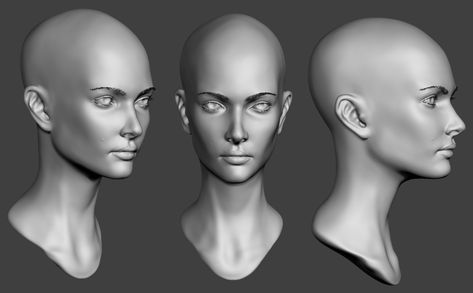 Female Head sculpt by X32Lapis. Head Anatomy, 3d Karakter, Zbrush Character, Face Anatomy, Anatomy Sculpture, Digital Sculpting, Human Anatomy Drawing, Anatomy Sketches, Human Head