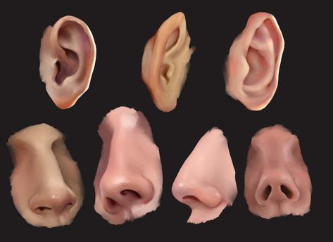 Nose ear Ear Digital Art, Ear Drawing Reference, Ear References, Ears Reference, Nose Anatomy, Hooked Nose, Ear Anatomy, Tutorials Drawing, Body Reference