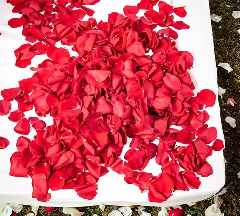 Whether you’re filling up a basket for the flower girl or preparing for an unforgettable petal toss, we have the perfect rose petals for your special day! 🌹 Reserve your wedding flowers at FlowersForWeddings.com 💐 #flowersforweddings #weddingflowers Petal Toss, Your Special, Rose Petals, Dance Videos, Special Day, Wedding Flowers, Flower Girl, Flowers, Quick Saves