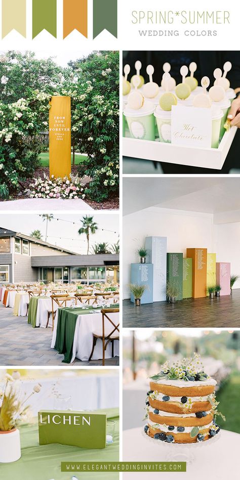 special and unique colorblock outdoor summer wedding colors Causal Wedding, Vintage Wedding Colors, Summer Causal, Wedding Color Schemes Spring, Purple Invitations, Outdoor Summer Wedding, Wedding Color Ideas, Wedding Color Combos, Wedding Colors Purple